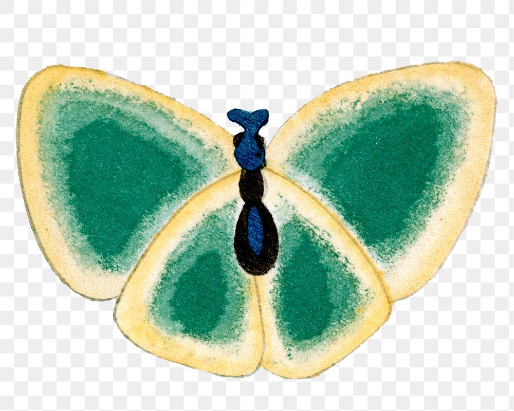 Green butterfly png sticker, vintage hand drawn design clip art, transparent background
