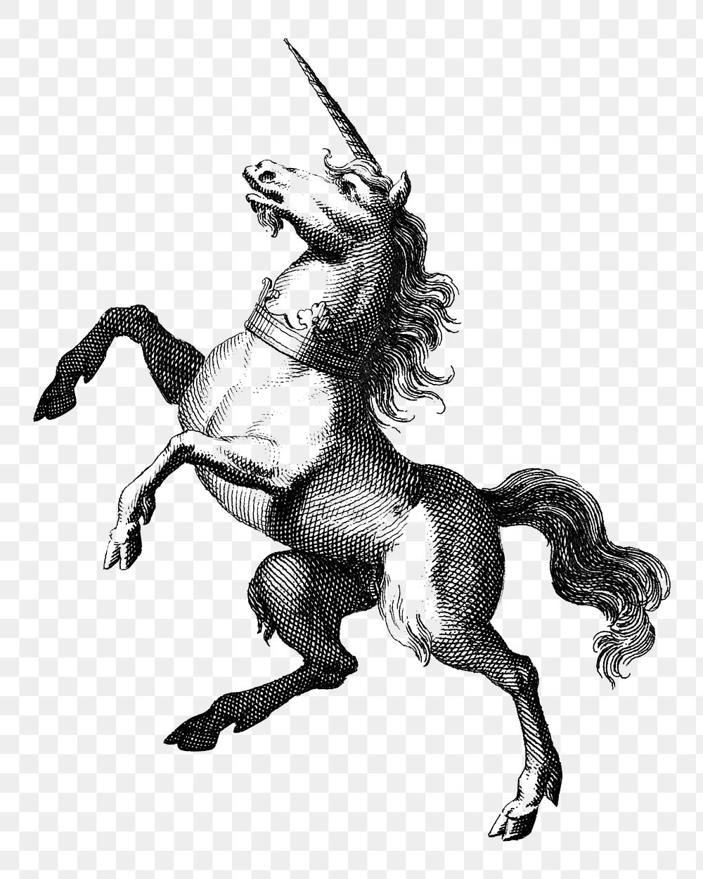 Vintage unicorn engraving illustration png