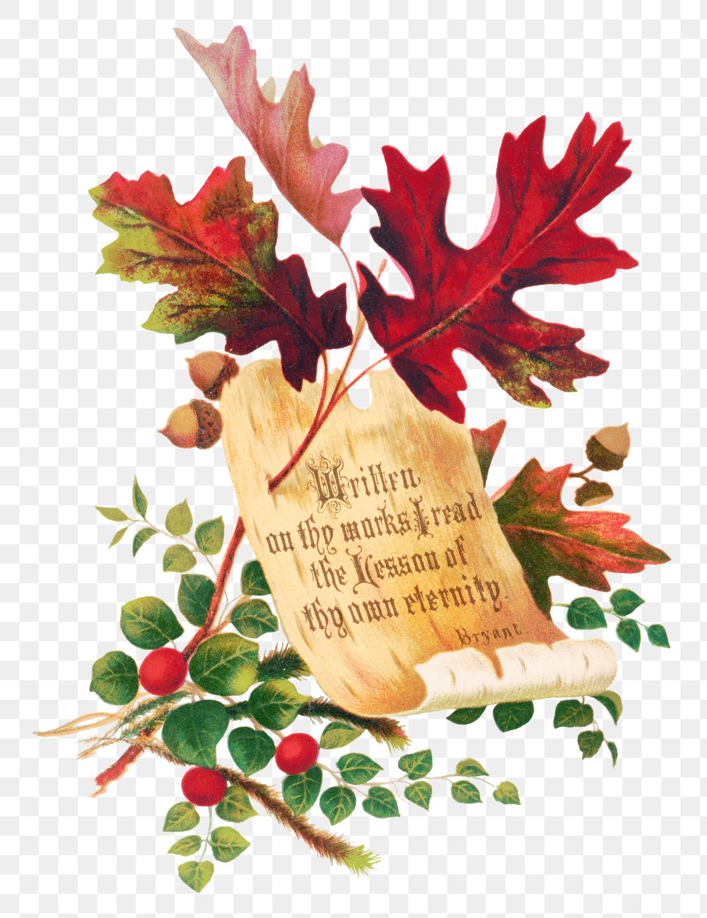 Vintage "Forest Hymn" poem birch bark strip illustration png, remix from artworks by William Cullen Bryant