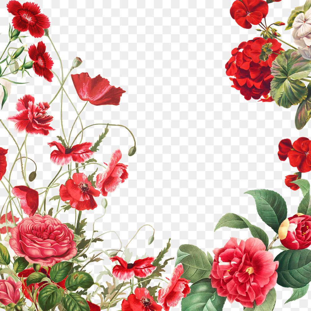 Vintage Red Flowers Frame Png Free Png Rawpixel