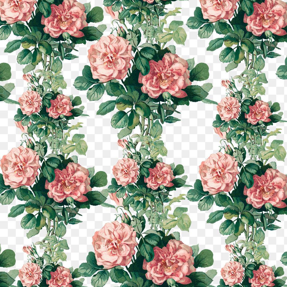 Vintage pink rose png floral pattern illustration, remix from artworks by L. Prang & Co.