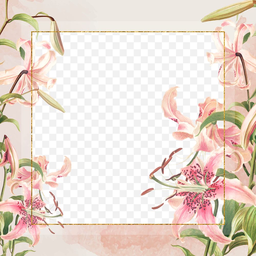 Vintage pink lilies png frame illustration, remix from artworks by L. Prang & Co.
