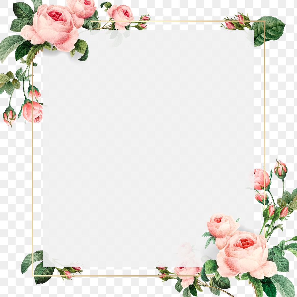 Pink Cabbage Rose Pattern On A Gold 