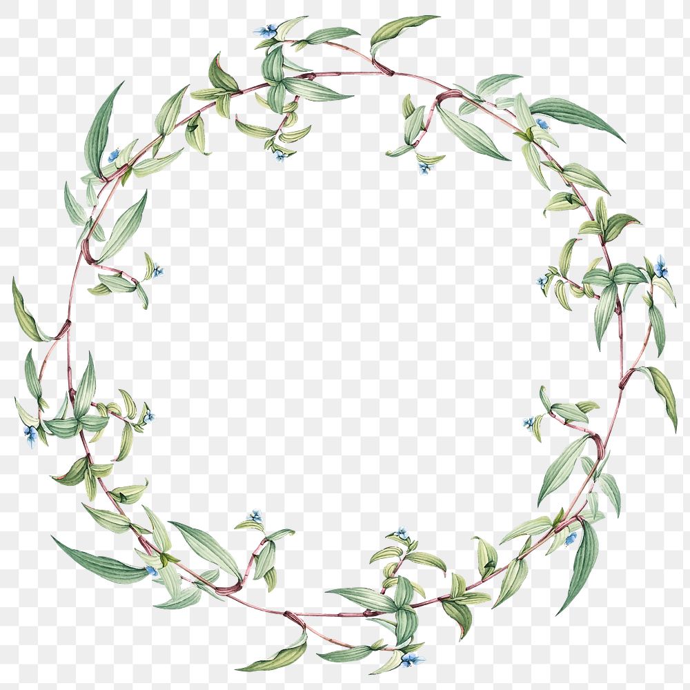 Botanical green leaf wreath design element