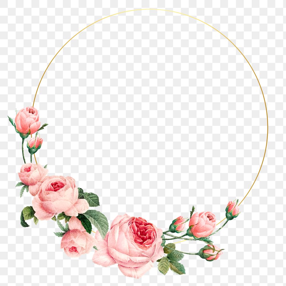 Pink cabbage rose pattern on a gold frame design element