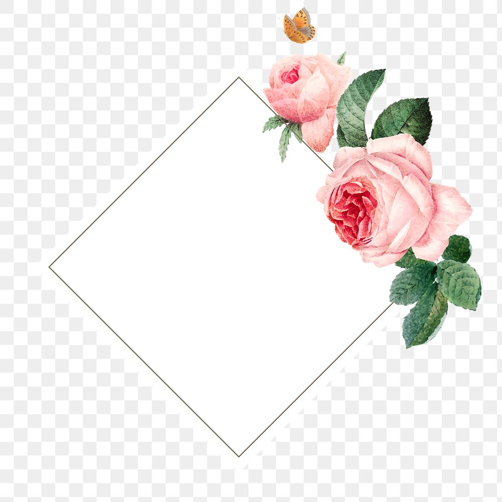 Pink cabbage rose squared frame | Premium PNG - rawpixel