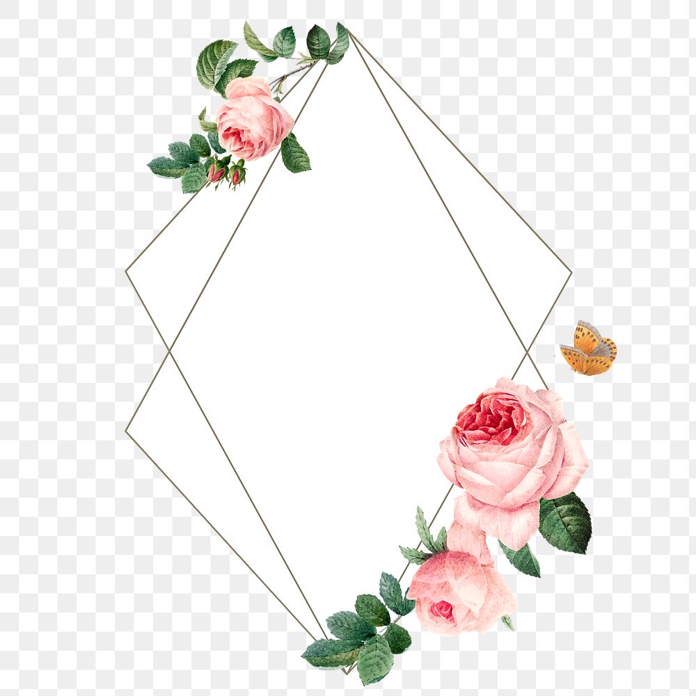 Pink cabbage rose frame design | Premium PNG - rawpixel