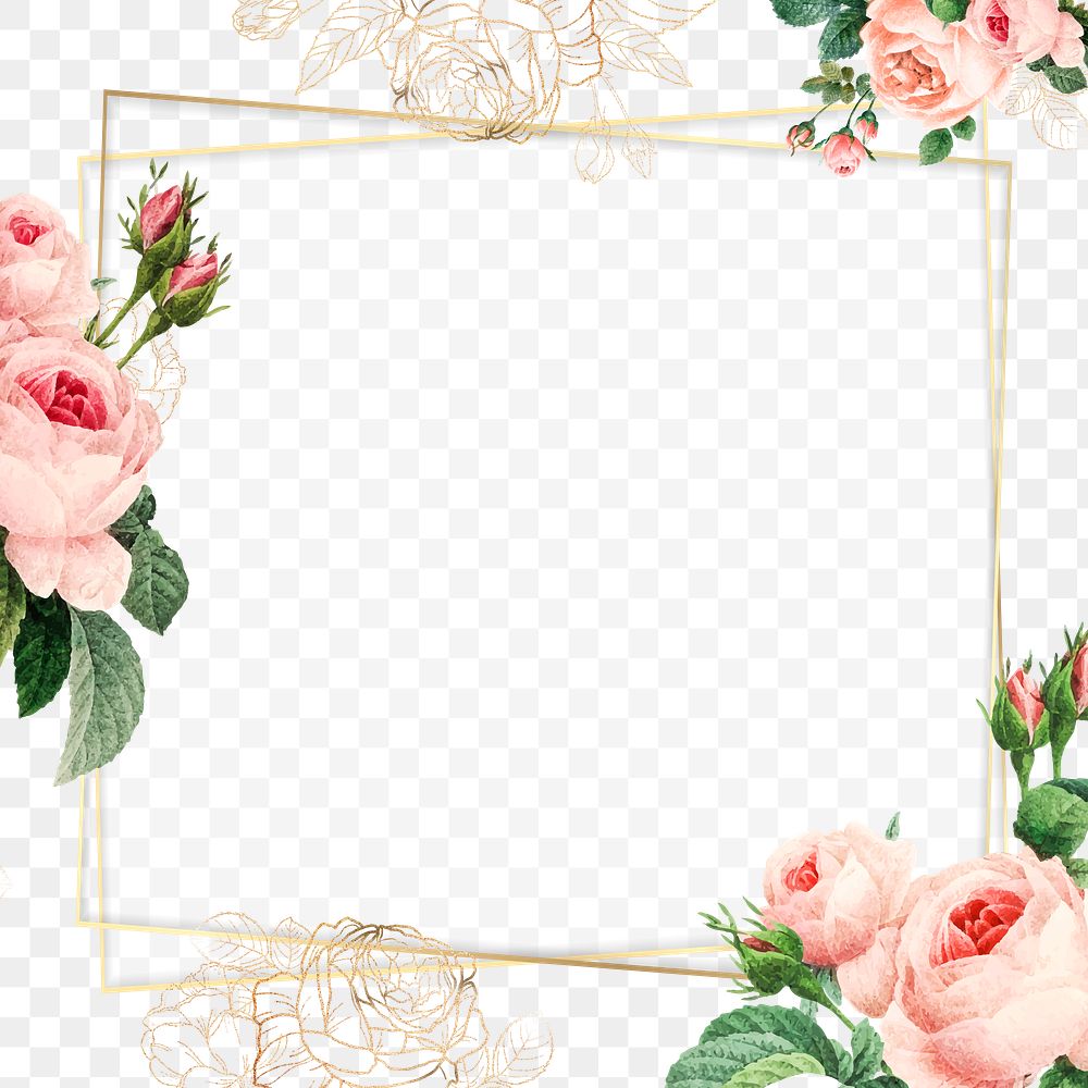 Pink cabbage rose pattern on a gold frame design element
