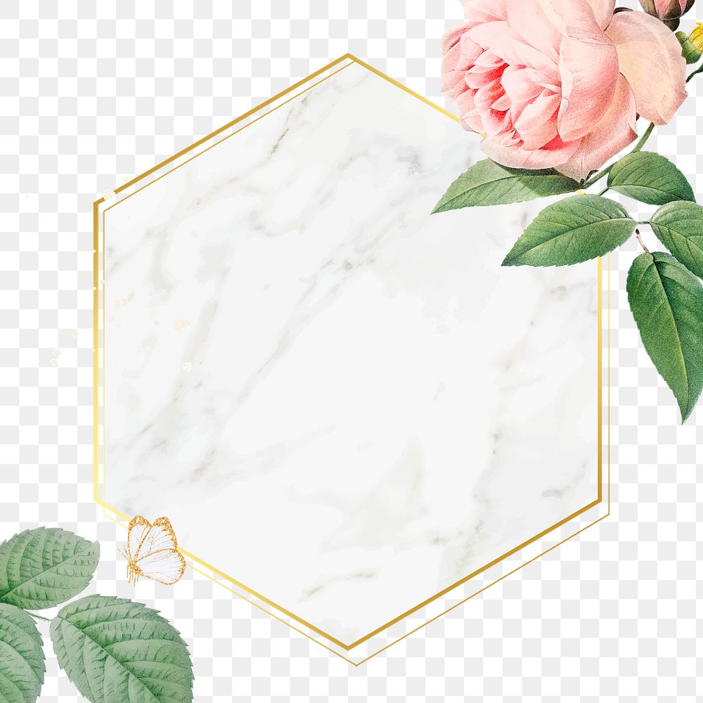 Pink cabbage rose pattern on a gold frame design element