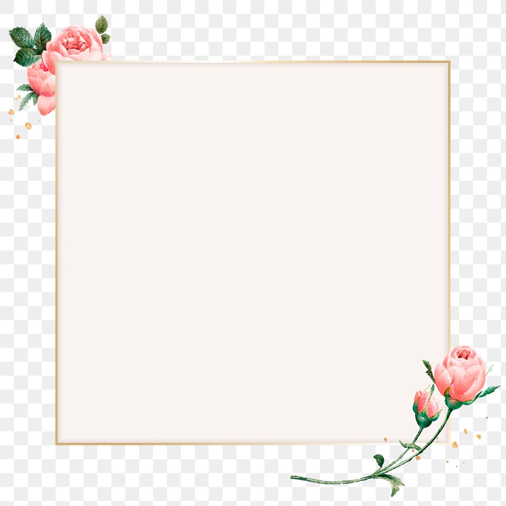 Pink cabbage rose pattern on a gold frame design element