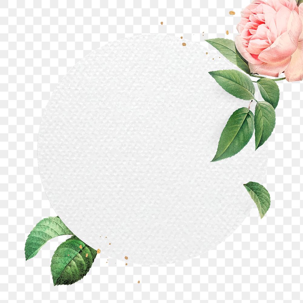 Pink cabbage rose pattern on a gold frame design element