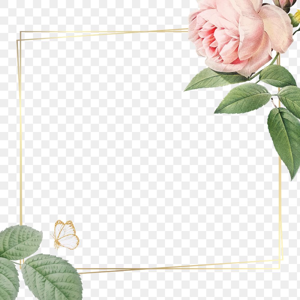 Pink cabbage rose pattern on a gold frame design element