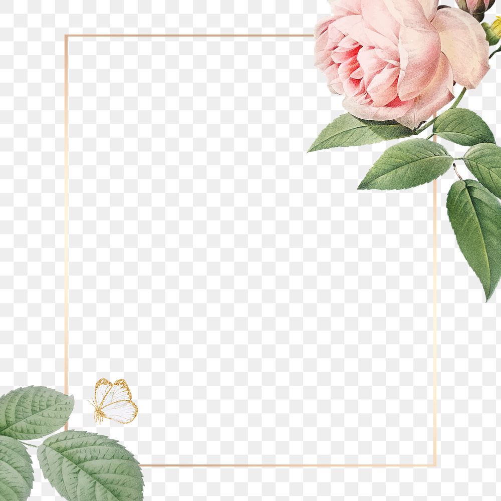Pink cabbage rose pattern on a gold frame design element