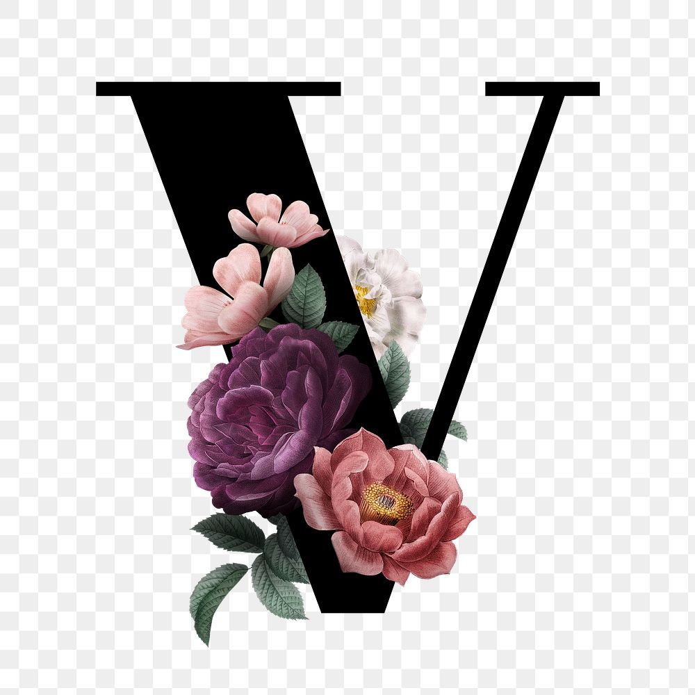 Floral letter V font | Free stock illustration | High Resolution graphic