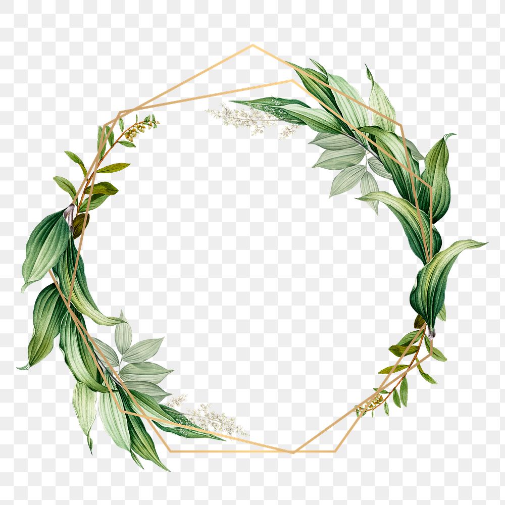 Tropical botanical frame transparent png