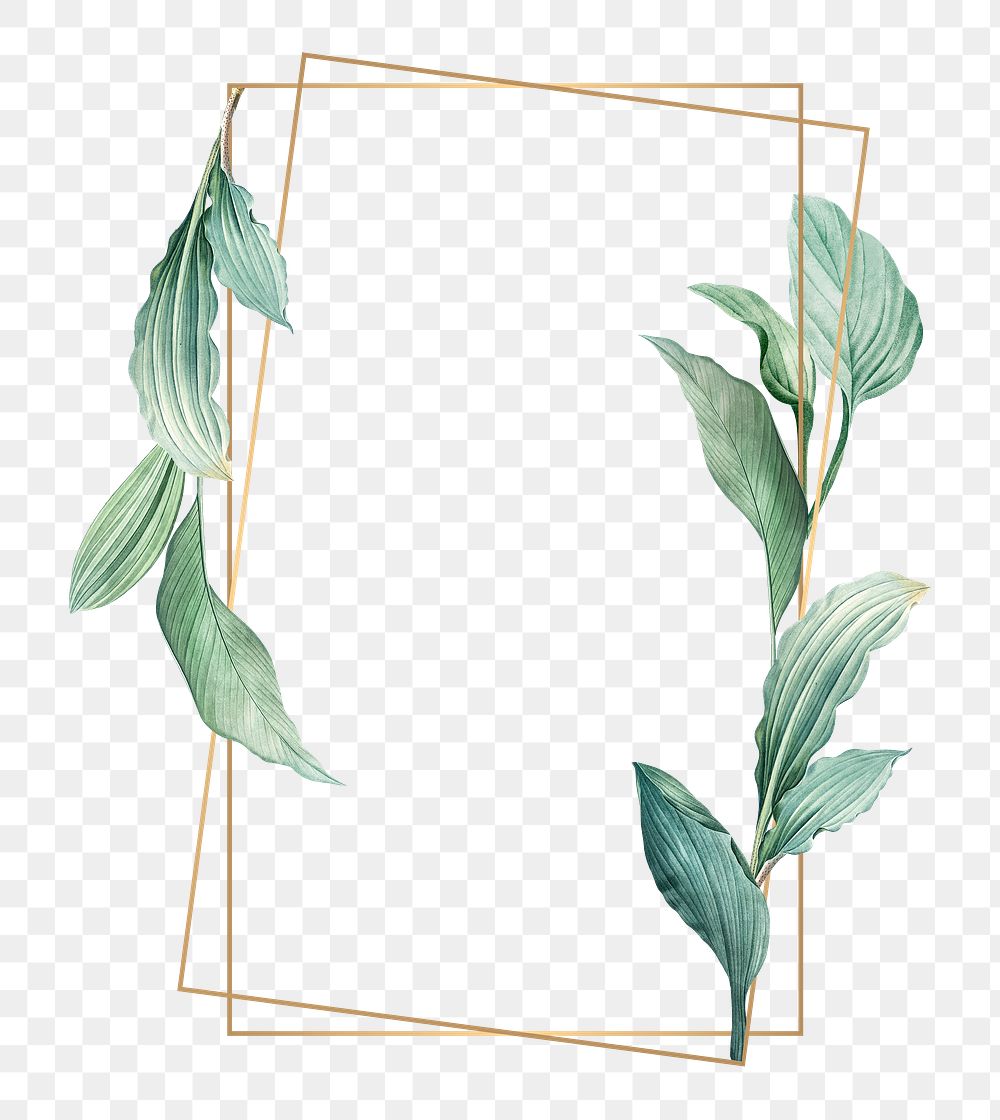 Gold frame decorated with hand drawn tropical leaves poster transparent png
