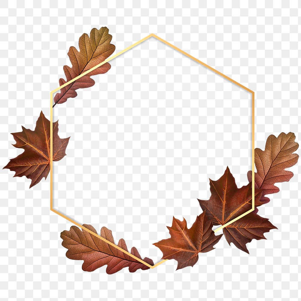 Orange leaves with hexagon frame design element