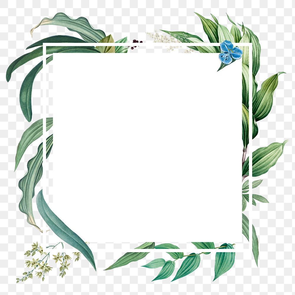 Empty frame with green leaves design element