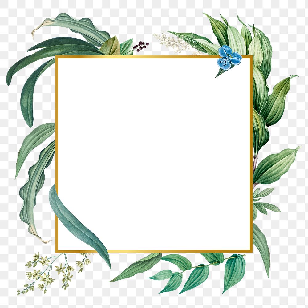 Empty frame with green leaves design element