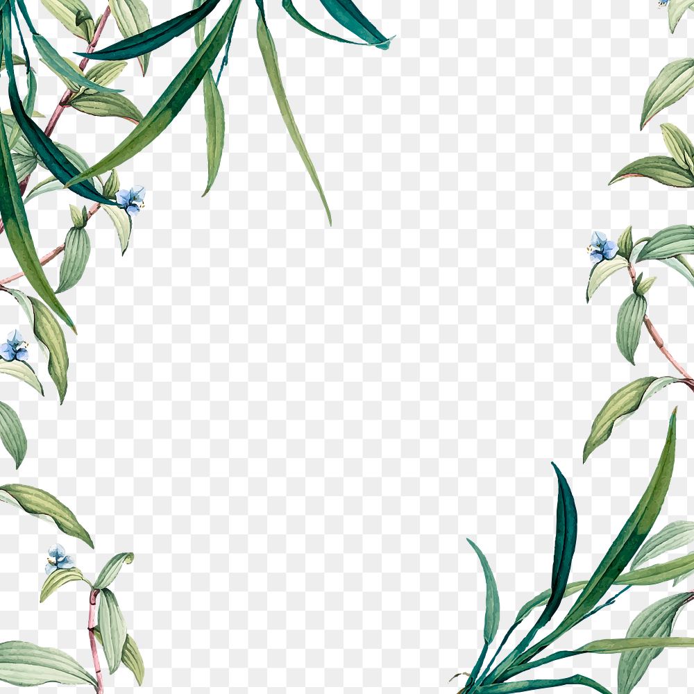 Frame of green leaves design element