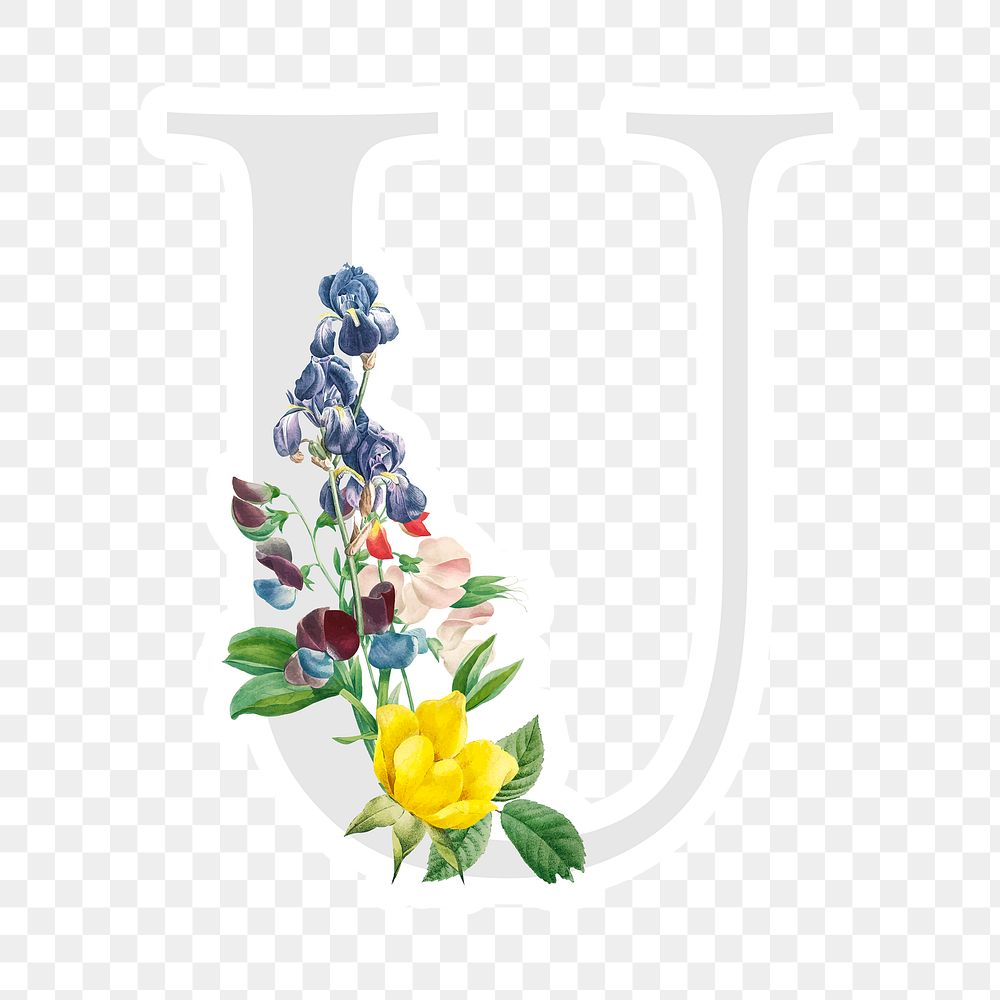 U Flower Images | Free Photos, PNG Stickers, Wallpapers & Backgrounds - rawpixel U Flower Images | Free Photos, PNG Stickers, Wallpapers & Backgrounds - rawpixel