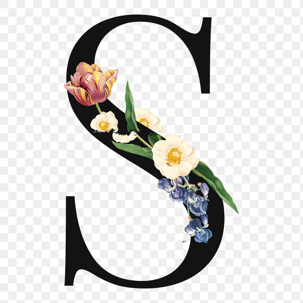 Flower decorated capital letter S typography