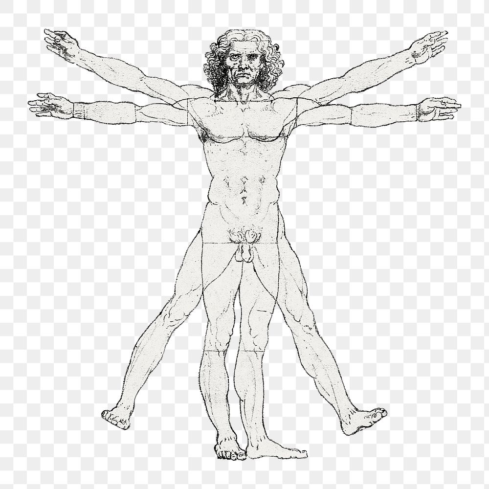 PNG Vitruvian man famous drawing, remixed from artworks by Leonardo da Vinci