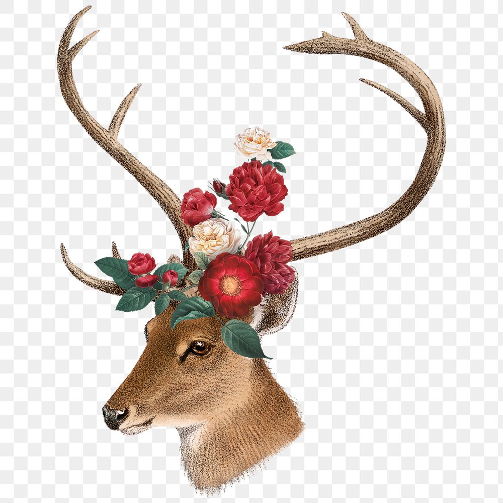 Vintage deer png sticker, animal & flower illustration, transparent background  