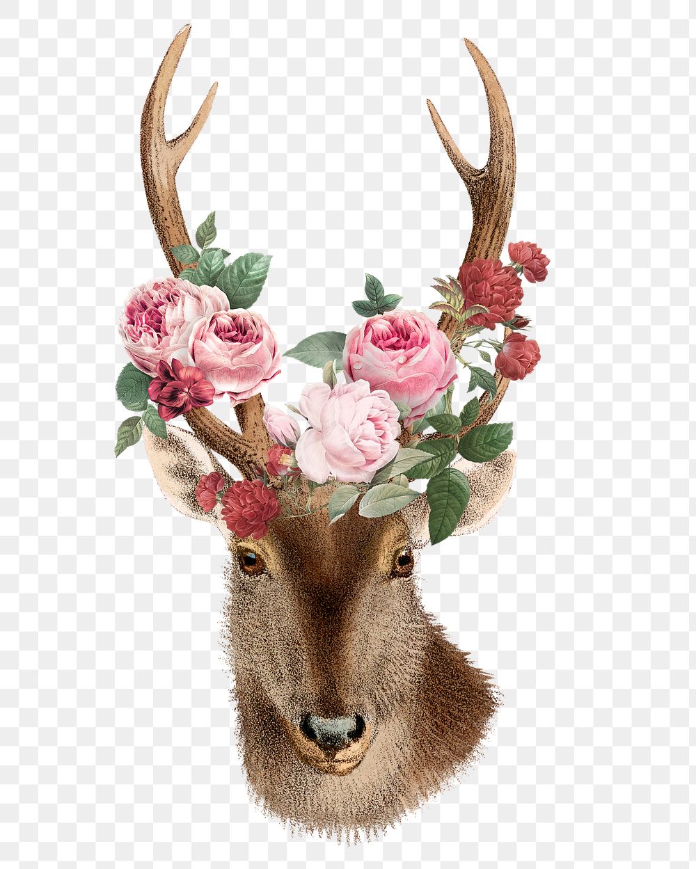 Vintage deer png sticker, animal & flower illustration, transparent background  