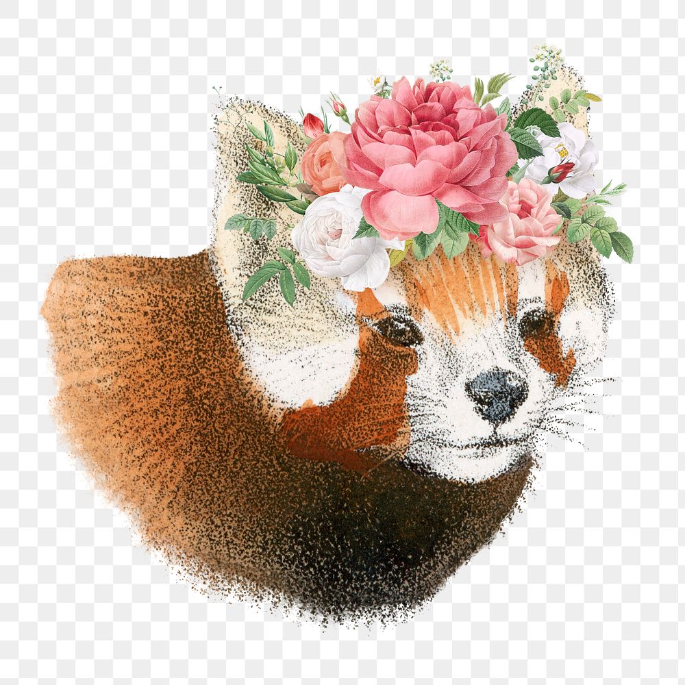Vintage red panda png sticker, animal & flower illustration, transparent background  