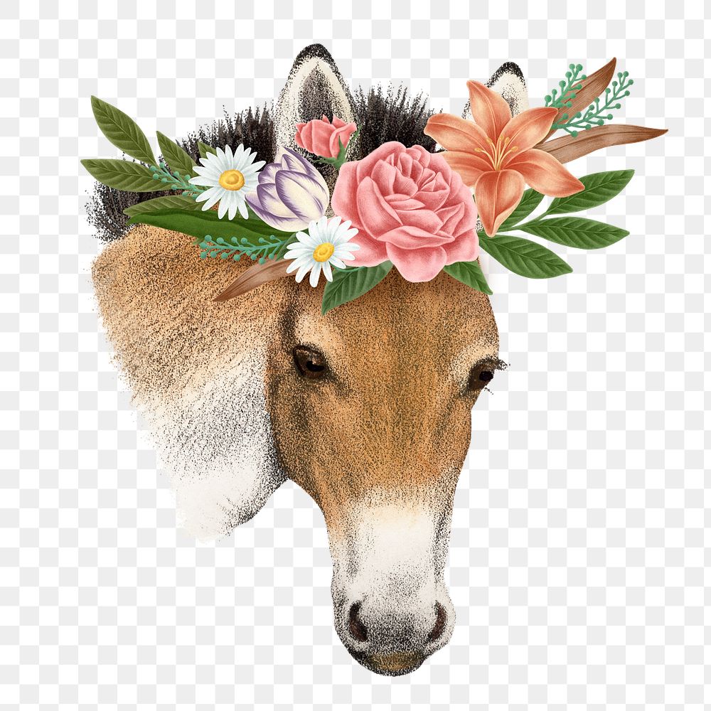 Przewalksi horse png sticker, animal & flower illustration, transparent background  