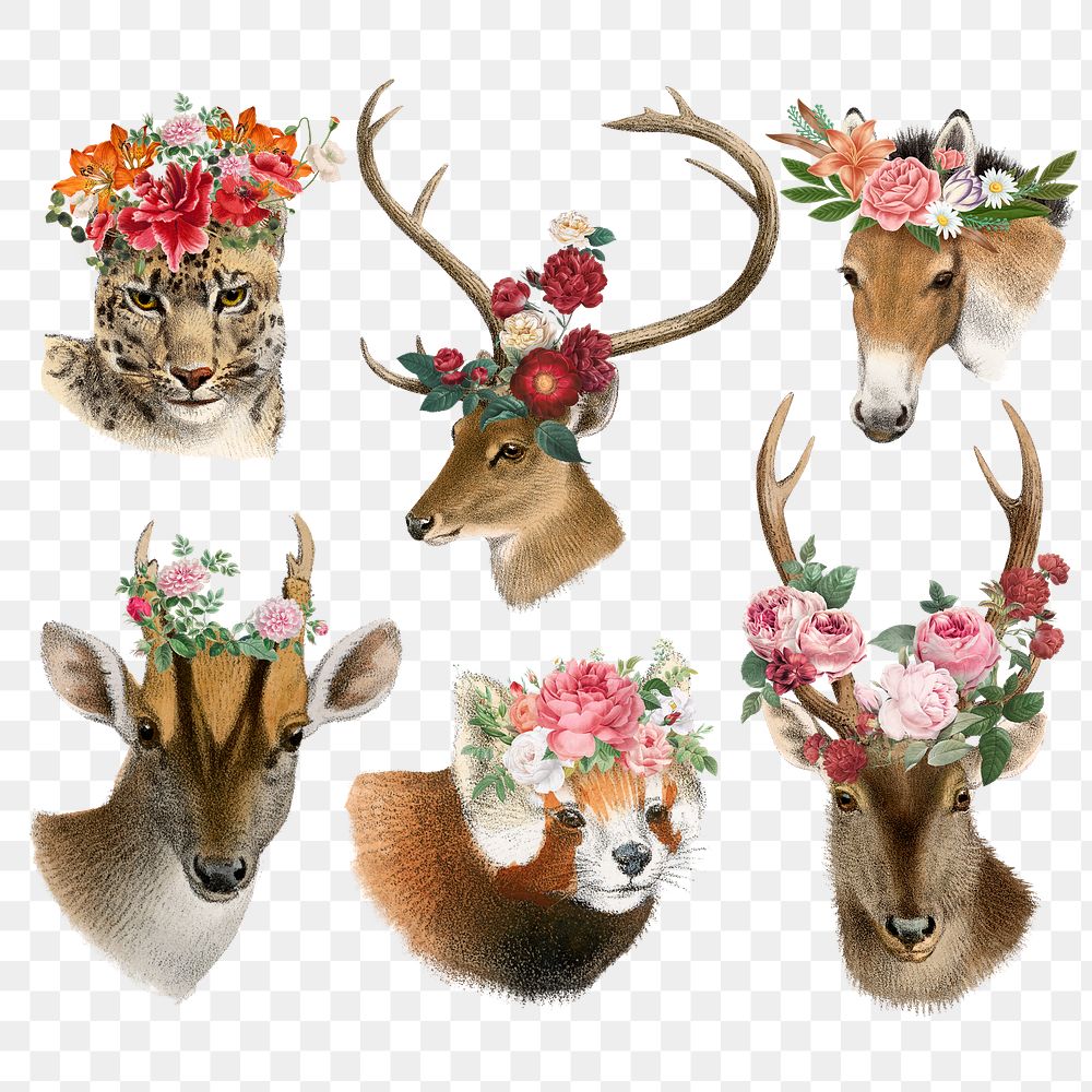 Vintage wildlife png sticker, floral illustration on transparent background set  