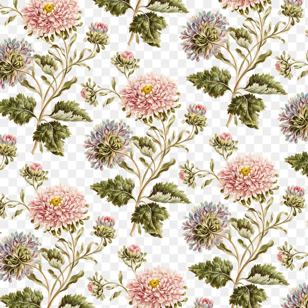 Vintage large double china aster flower… | Free stock illustration | High Resolution graphic Vintage large double china aster flower pattern background design resource