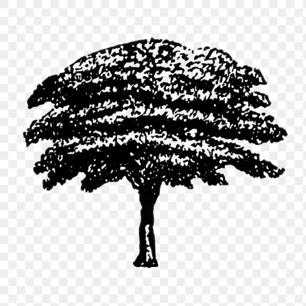 Tree sticker png, hand drawing style digitally enhanced from our own original copy of The Open Door to Independence (1915)…