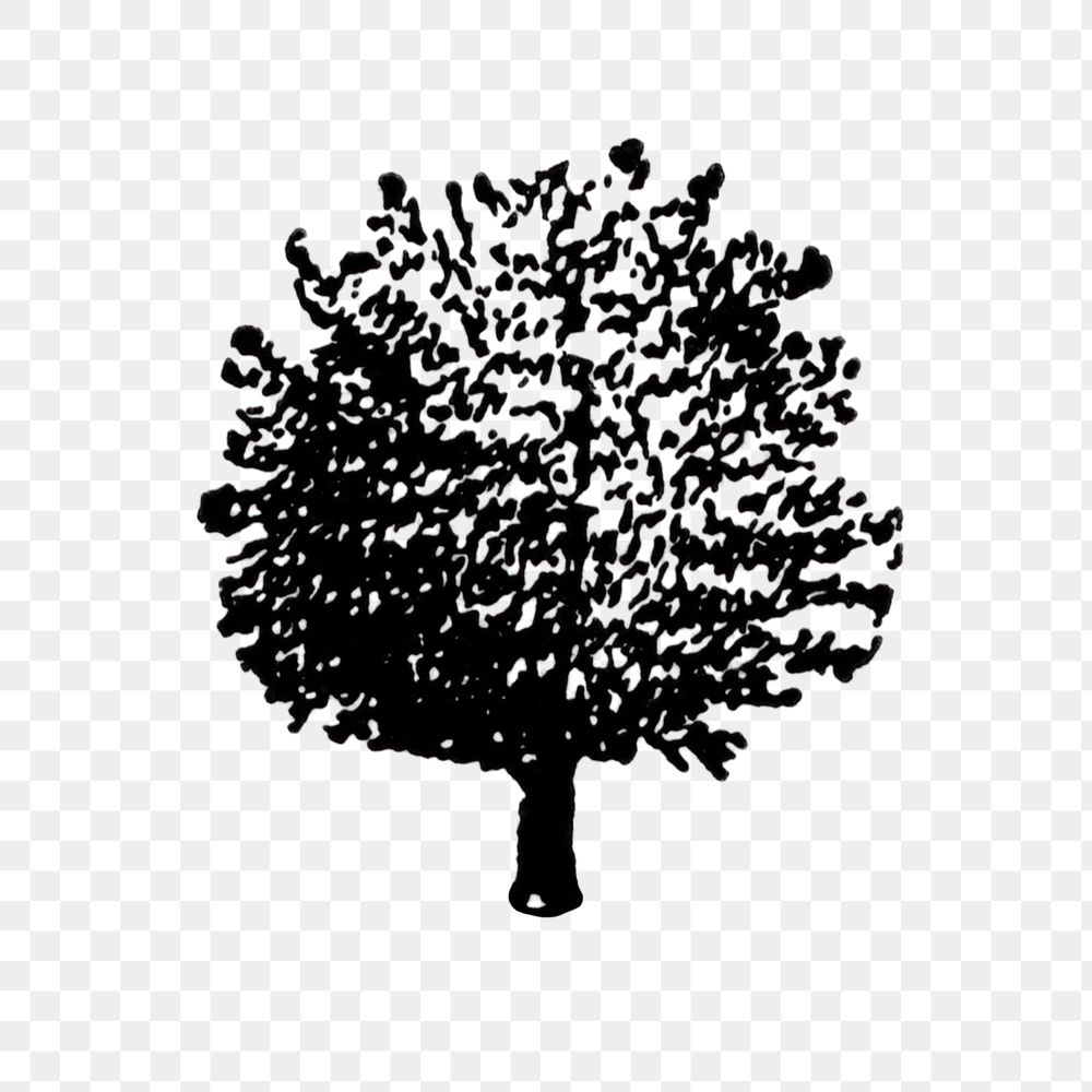 Apple tree clipart png, black ink drawing, digitally enhanced from our own original copy of The Open Door to Independence…