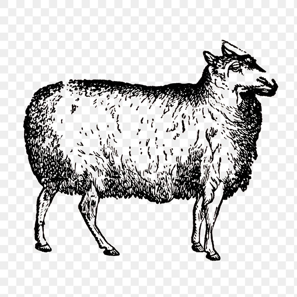 Sheep sticker png, black ink | Premium PNG - rawpixel