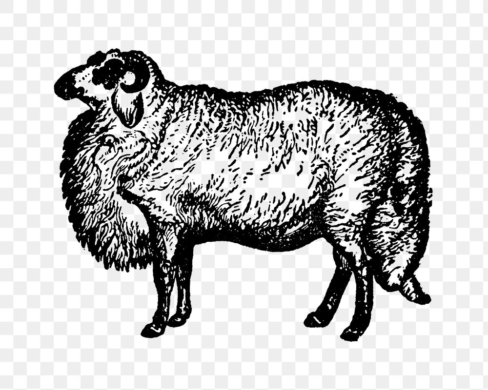 Sheep sticker png, black ink | Premium PNG - rawpixel