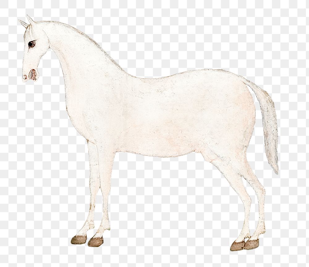 Vintage png white Asian horse illustration, featuring public domain artworks