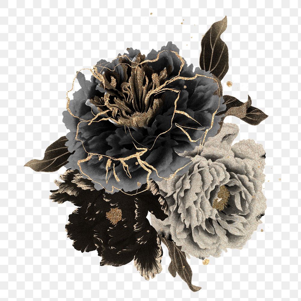 Japanese peony png clipart, black botanical floral design on transparent background