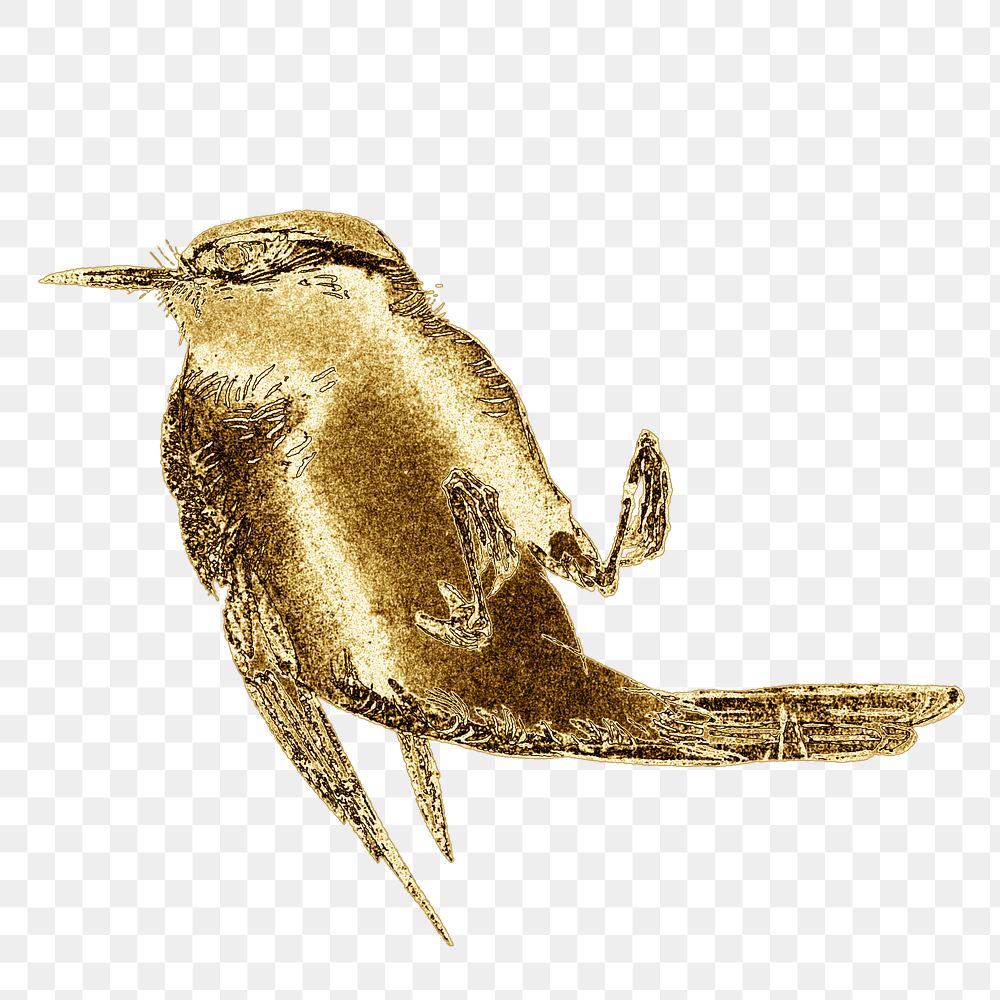 Golden songbird design element