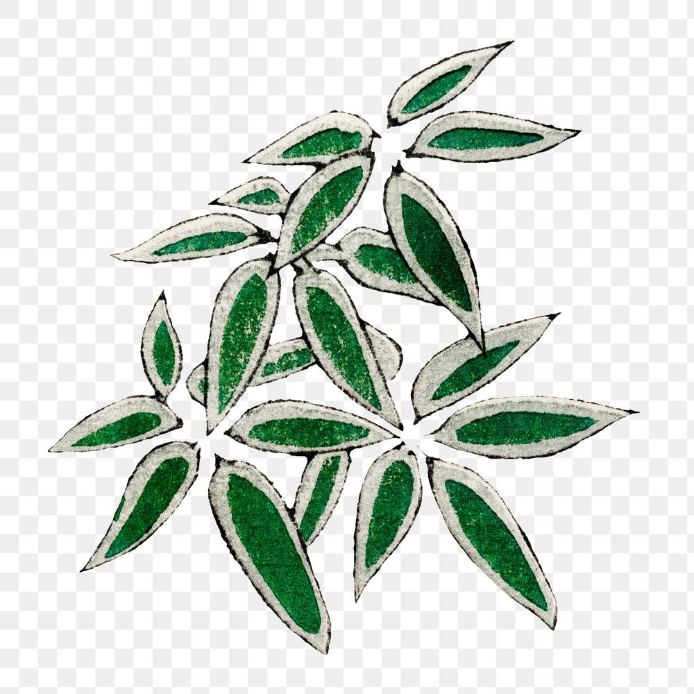 Japanese bamboo leaf ornamental png element, remix of artwork by Watanabe Seitei