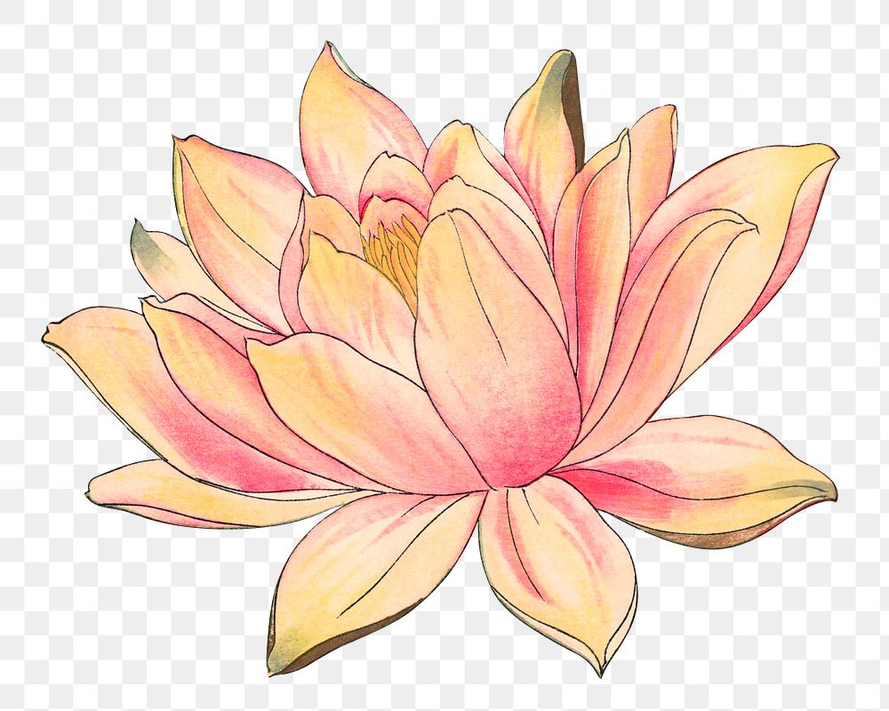 Lotus sticker png, Japanese ukiyo e art, transparent background