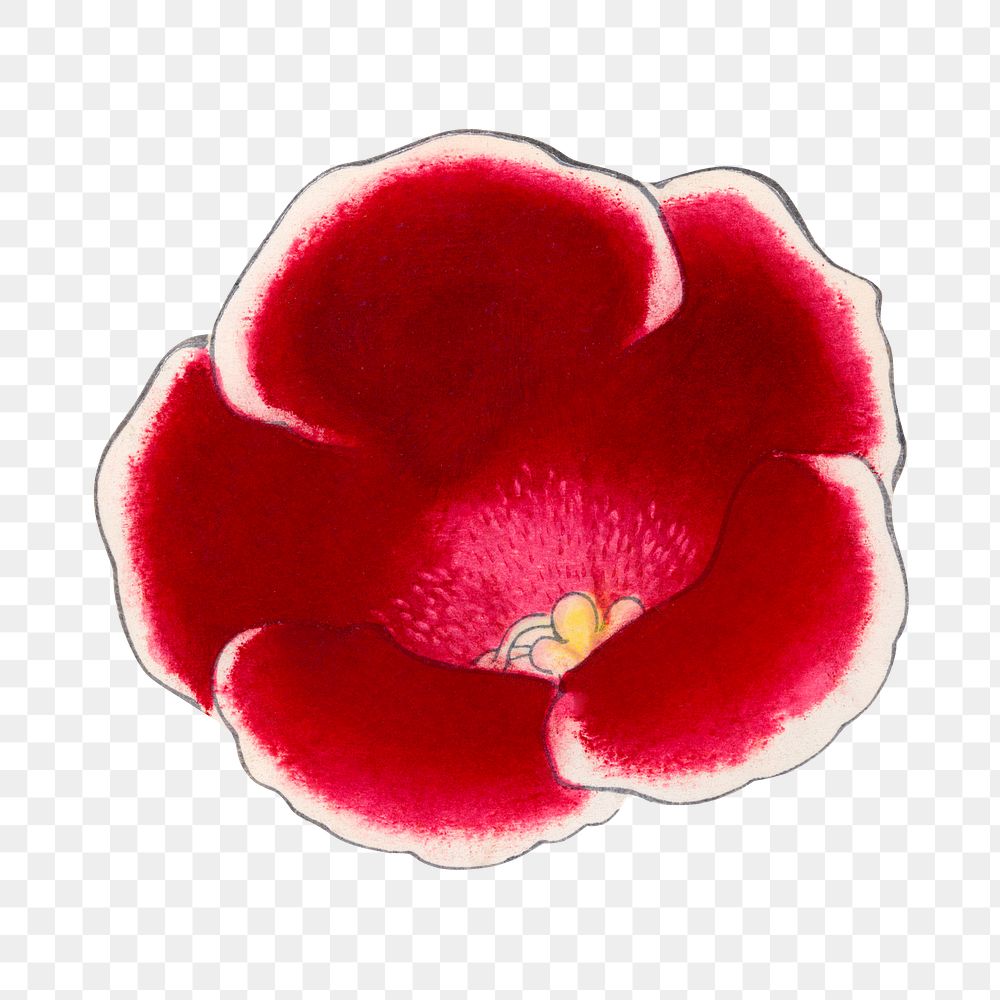 Gloxinia flower png sticker, Japanese ukiyo e art, transparent background