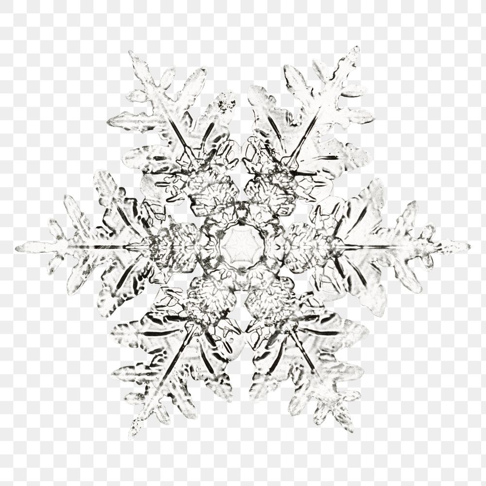 Winter snowflake transparent Christmas ornament macro photography, remix of photography by Wilson Bentley