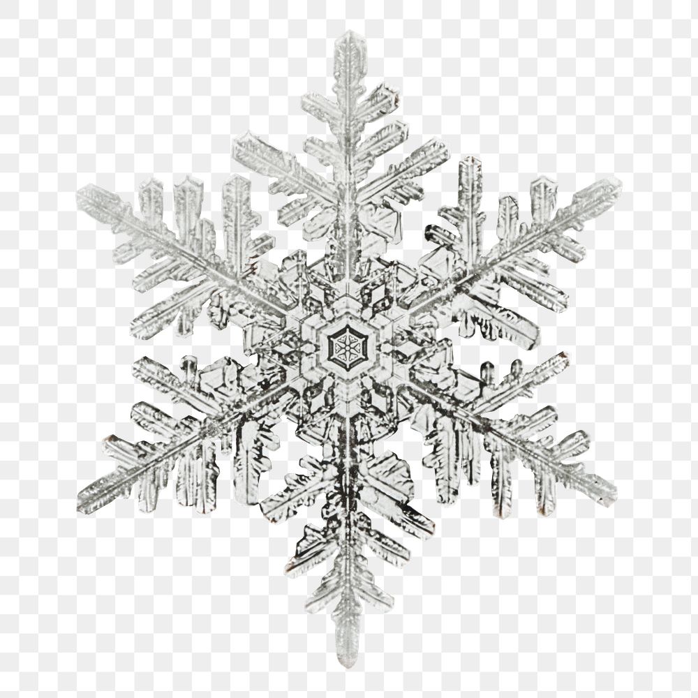 Winter snowflake Christmas ornament png macro photography, remix of photography by Wilson Bentley