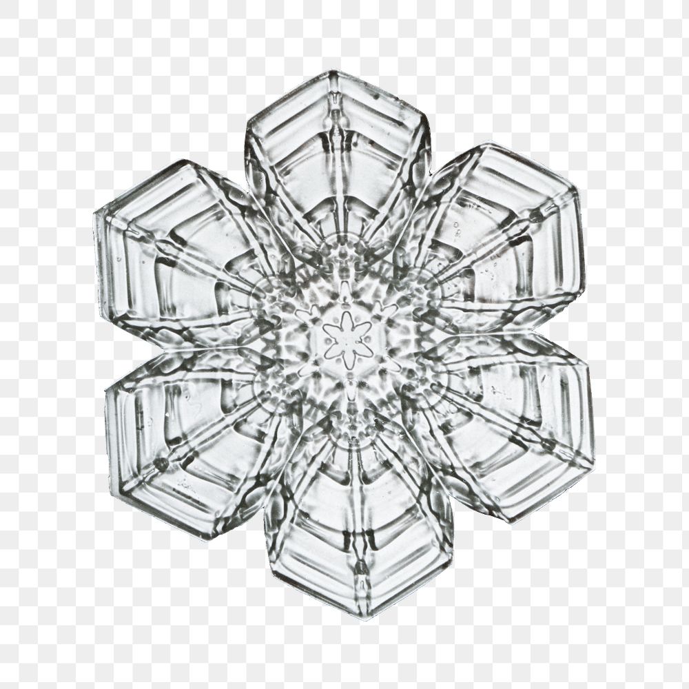 Season&rsquo;s greetings snowflake transparent Christmas ornament macro photography, remix of photography by Wilson Bentley