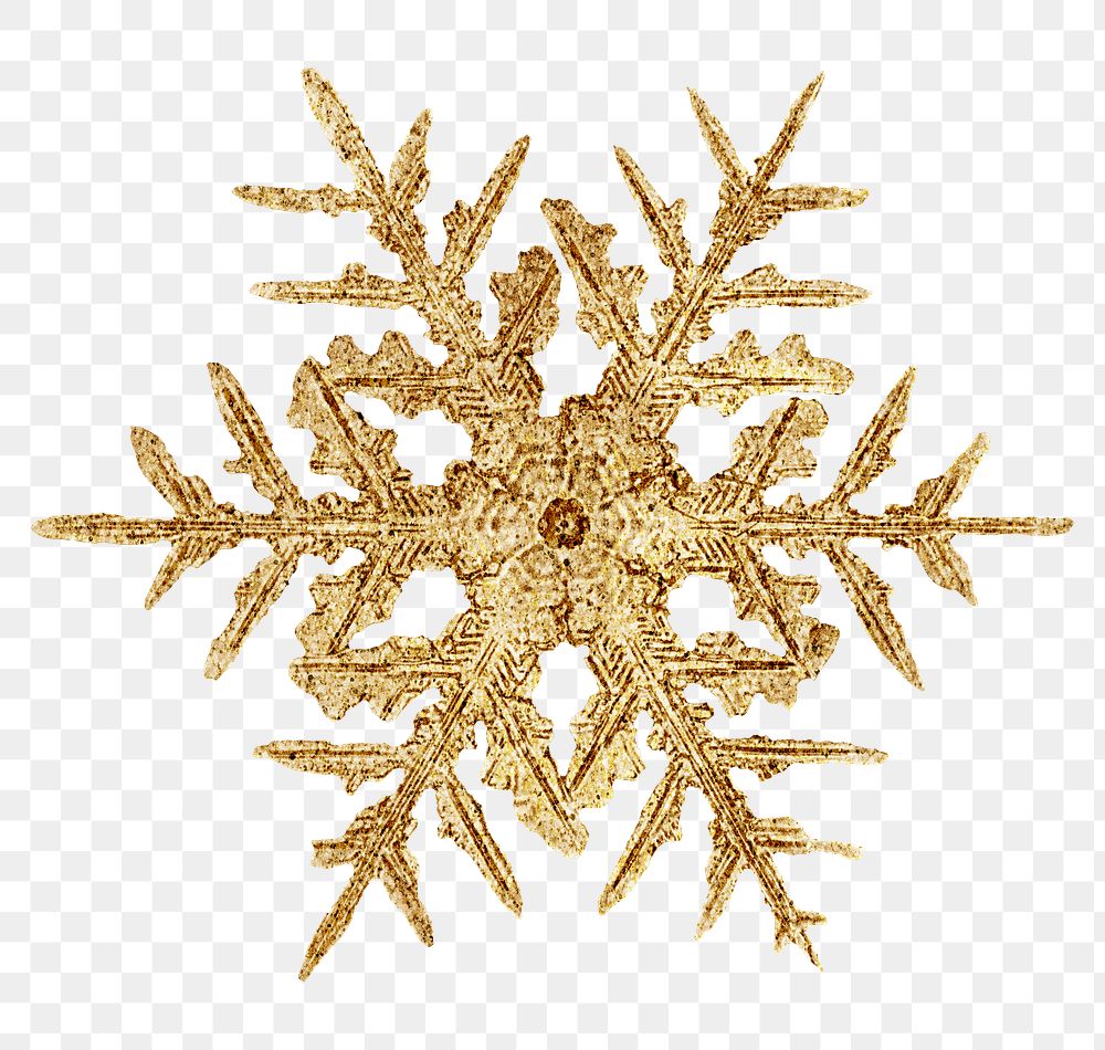 Season&rsquo;s greetings gold snowflake png Christmas ornament macro photography , remix of photography by Wilson Bentley
