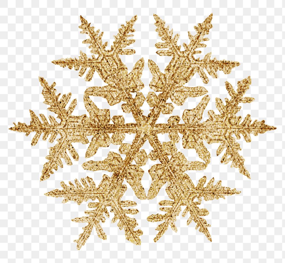 Winter gold snowflake transparent Christmas ornament macro photography, remix of photography by Wilson Bentley