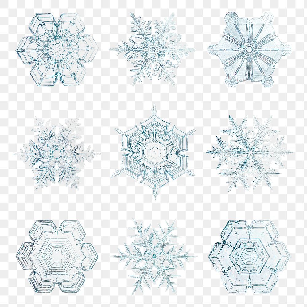 New year snowflake png set Christmas ornament macro photography, remix of photography by Wilson Bentley