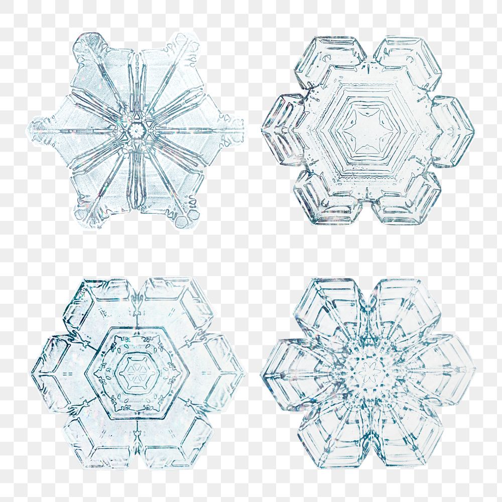 Snowflake transparent set Season&rsquo;s greetings ornament macro photography, remix of photography by Wilson Bentley